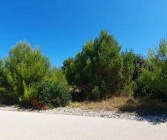 Zemědělská půda s přístupem po asfaltové cestě