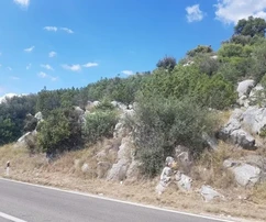 Marina, Poljica, terrain constructible de 1850 m2, à 150 m de la mer