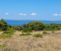Agricultural land with access via paved road