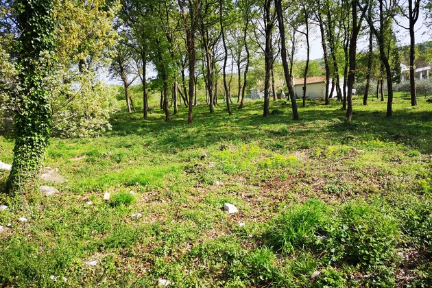 Istrie, Muntrilj : Grand terrain avec intimité