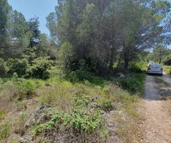 656 m², parte no urbanizada de la zona edificable, se requiere elaboración del plan UPU