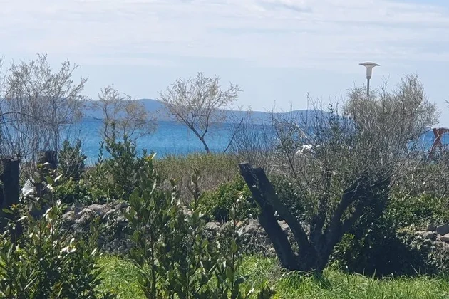 Zaton, 50 m de la mer, terrain constructible avec projet conceptuel pour 9 unités