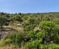 Vinišće, Stari Trogir, mezőgazdasági terület 625 m2, 100 méterre a tengertől