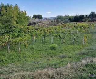 Kaštel Štafilić, terreno edificabile di 3606 m2, proprio accanto alla strada, a 100 m dal mare