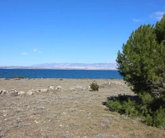 Terreno agrícola en las inmediaciones del mar