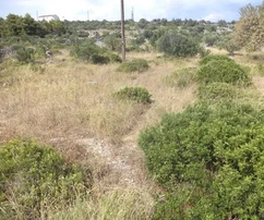 Rogoznica, stavebný pozemok 2161 m2, prístup, 110 m od mora