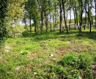 Istria, Muntrilj: Duża działka z prywatnością