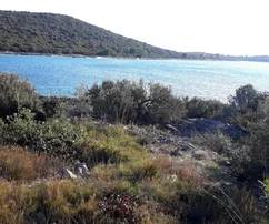 Vinišće, zátoka Stari Trogir, poľnohospodárska pôda 837 m2, prvý rad pri mori
