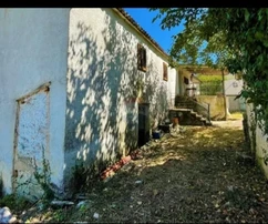 Pôda Motovun, 1.400m2