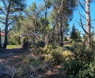 Parte no edificada de la zona de construcción 971 m²