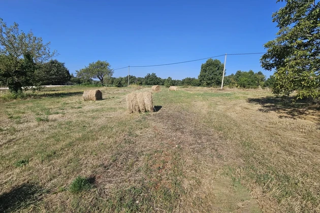 Istrie, Žminj, Terrain constructible attractif à vendre
