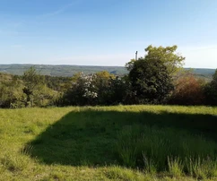 Istra, Buje: Renoviertes Steinhaus mit Meerblick