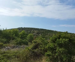 Trogir-okolí, Drvenik Mali, zemědělská půda, 140 m od moře
