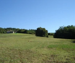 <p>Unikalna działka położona wśród natury, otoczona lasem, Istria, Poreč</p>