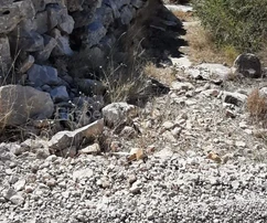 <p>Drvenik Veli, cerca de la finca... terreno de 3980 m2, a solo 80 m del mar, vista</p>