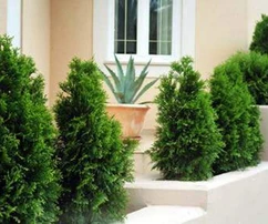 Podgora, Makarska, apartmán s rozlohou 65,44 m² s výhľadom na more