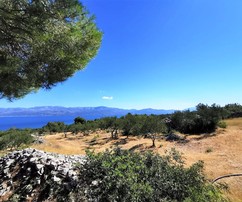 A Brac Olive Grove Estate 19 983 m² csendes területet kínál, amely tökéletes pihenésre és a természet élvezetére