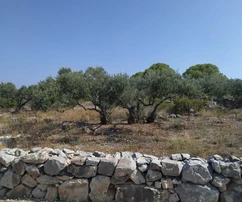 Trogir-okolí, Drvenik Mali, stavební pozemek 1052 m2, 150 m od moře