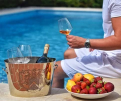 Istria, Vabriga, Luxurious and elegant villa with pool and sea view