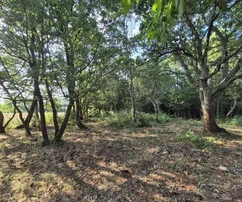 Pozemok Kaštelir, Kaštelir-Labinci, 32&nbsp;619&nbsp;m2