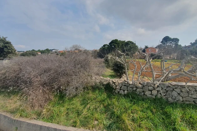 Terreno agricolo coltivabile