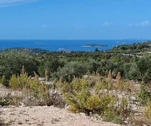 Rogoznica, terreno agricolo 8000 m2, 1000 m dal mare, 80 ulivi