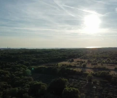 Vodnjan telek, 8 000 m2