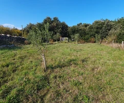 Terreno agricolo, uliveto, pozzo profondo 99 metri, recintato