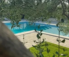 Vodice – Haus mit Pool und Olivenhain im Hinterland von Vodice
