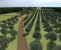 Istrien, Bale, Landwirtschaftliches grundstück mit entwicklungspotenzial zu verkaufen