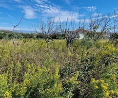 Seget Donji, building land 1215 m2, ideal for residential construction