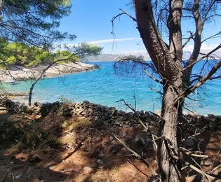 Drvenik Veli, agricultural land 1300 m2, FIRST ROW TO THE SEA!!