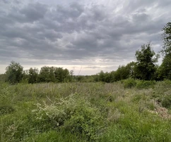 Istrie, Sveti Lovrec : Terrain constructible près de Porec