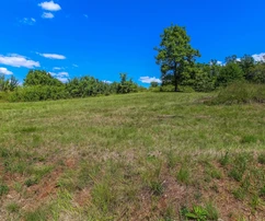 Istrie, Oprtalj, malebný pozemek s otevřeným panoramatickým výhledem a stavebním potenciálem