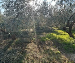 Pula, Istrie : Terrain constructible de premier choix à Veli Vrh