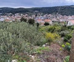 <p>Marina, terreno edificable de 974 m2, cerca del centro, electricidad, agua, carretera asfaltada</p>