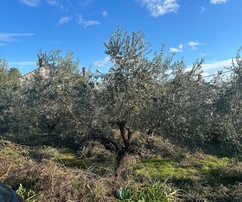 Pula, Istrie : Terrain constructible de premier choix à Veli Vrh