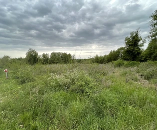 Istrien, Sveti Lovrec: Baugrundstück in der Nähe von Porec