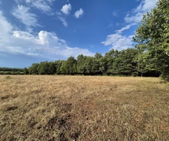 Istria, Kastelir: Terreno agrícola con bosque 24.118 m²