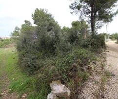 Terrain sous plan UPU 80€/1m2