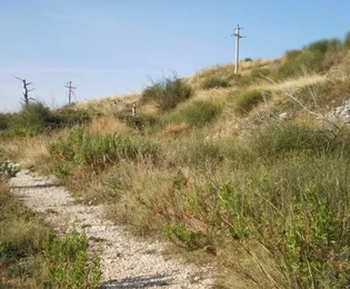 Prodej pozemku Plano 6000 m2