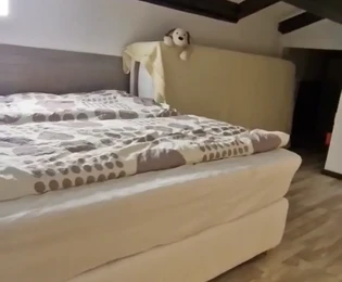 Istria, Červar – Apartament z antresolą i loggią