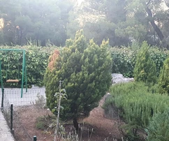 Steinvilla in Supetar auf der Insel Brač steht zum Verkauf in Kroatien