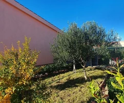 Casa de una planta con galería, garaje, sótano y un hermoso jardín