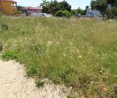 Terrain à vendre Vir 154 m²