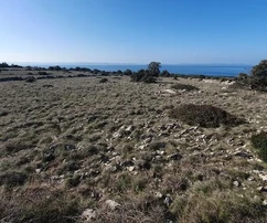 Agricultural land