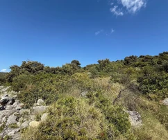Rogoznica, Ražanj, terreno di 3780 m2, a 150 m dal mare e dalla spiaggia