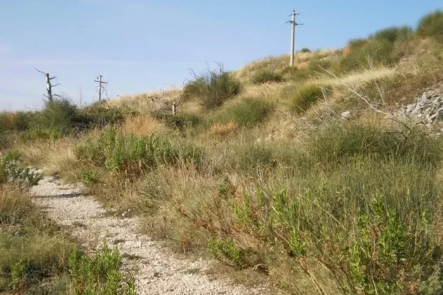 Prodej pozemku Plano 6000 m2