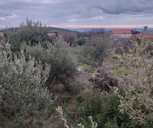 Sevid, Zaselo, terreno edificabile di 2375 m2, a 700 m dal mare e dalla spiaggia
