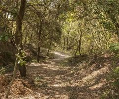 Unique real estate opportunity available in Medulin in Croatia